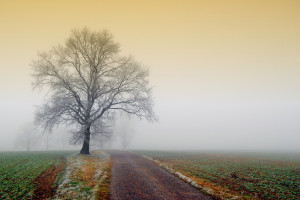 冲破枷锁!谁将改写中超历史,成为新的冠军传奇 冲破枷锁!谁将改写中超历史,成为新的冠军传奇