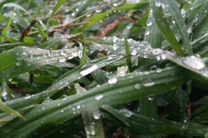 王者荣耀职业联赛，战队夏季赛程过半，谁能笑到最后