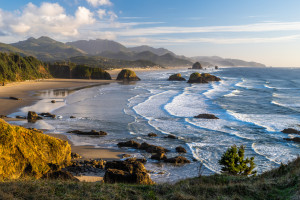 伤病阴影笼罩！法兰克福能否挺过难关